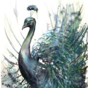 Online-mediums.be - tarotist Conny