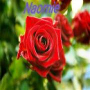 Belverzoek voor tarotist  Naomie - online-mediums